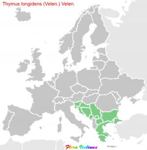 Thymus longidens (Velen.) Velen.